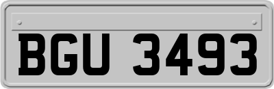 BGU3493