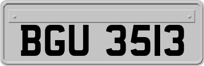 BGU3513
