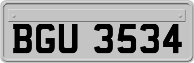 BGU3534