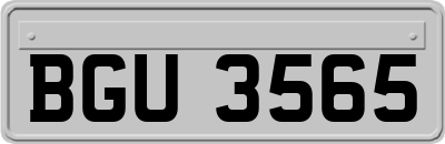 BGU3565