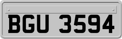 BGU3594