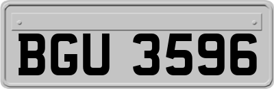 BGU3596