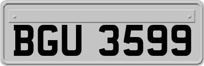 BGU3599