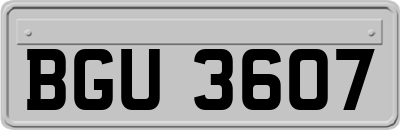 BGU3607