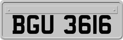 BGU3616