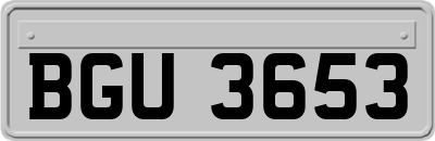 BGU3653
