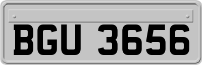 BGU3656