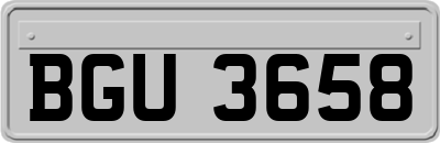 BGU3658
