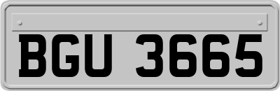 BGU3665