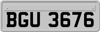 BGU3676