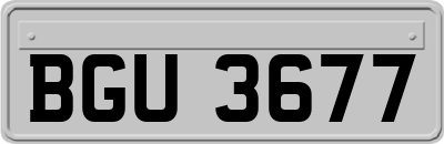 BGU3677