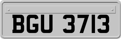 BGU3713