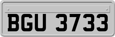 BGU3733