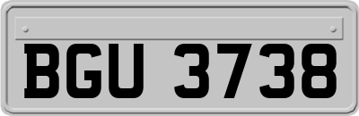 BGU3738