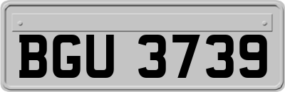 BGU3739