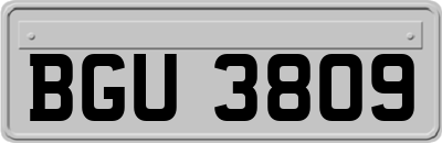 BGU3809