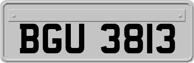 BGU3813