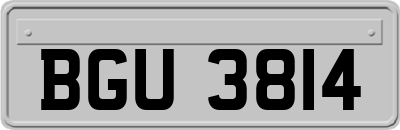 BGU3814
