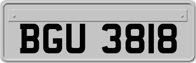 BGU3818