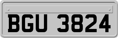 BGU3824