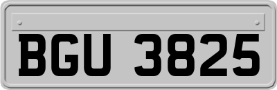 BGU3825