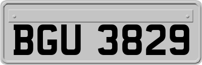 BGU3829
