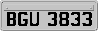BGU3833