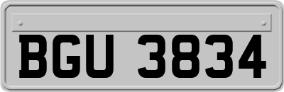 BGU3834