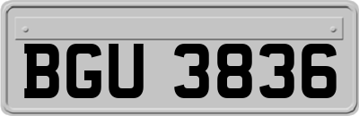 BGU3836