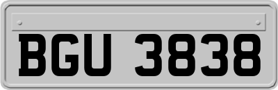 BGU3838