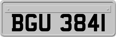 BGU3841