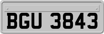 BGU3843