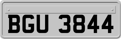 BGU3844