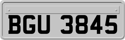 BGU3845
