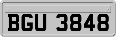 BGU3848
