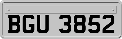 BGU3852