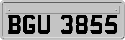 BGU3855