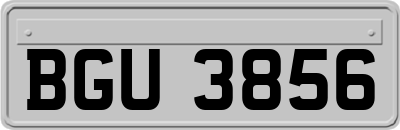 BGU3856