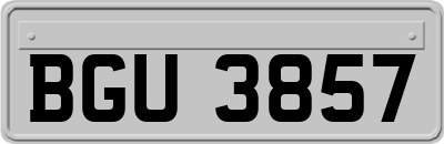 BGU3857