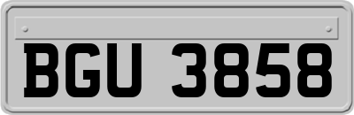 BGU3858