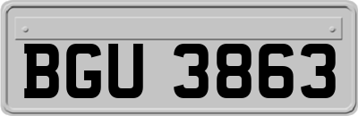 BGU3863
