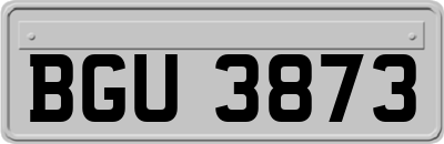 BGU3873