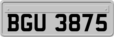 BGU3875