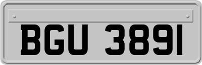 BGU3891