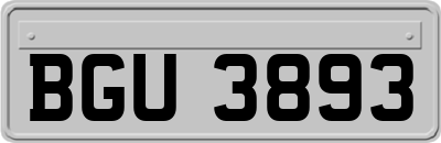 BGU3893