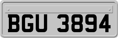 BGU3894