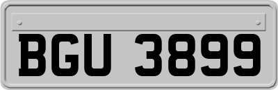 BGU3899