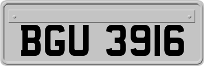 BGU3916