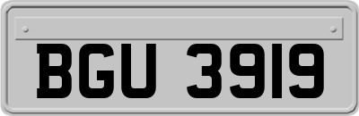 BGU3919