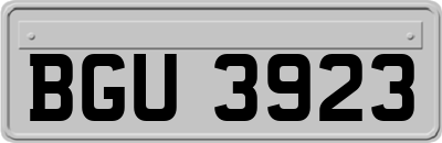 BGU3923